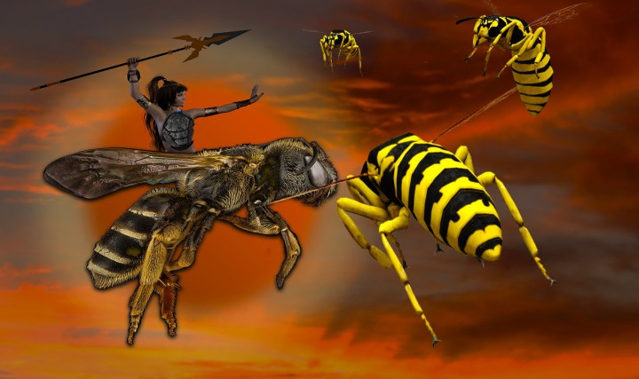 The Girl With The Big&nbsp;Stick