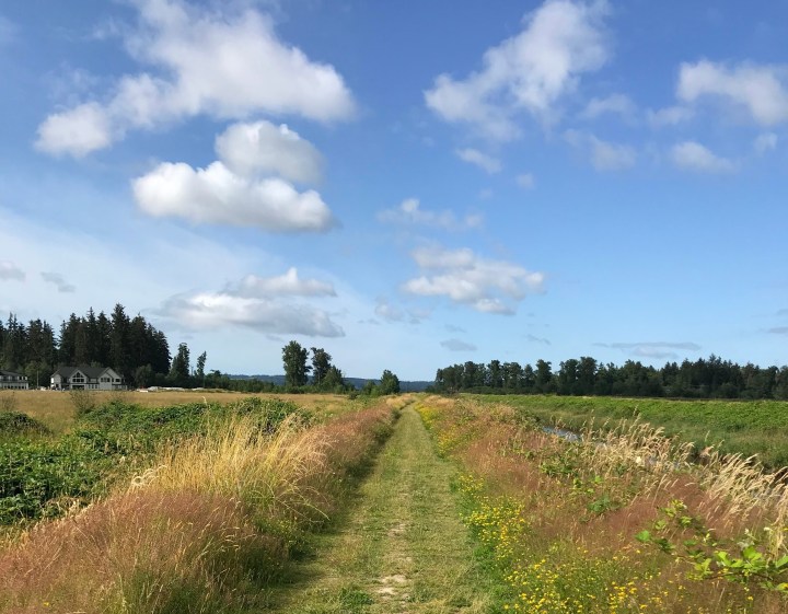 Prioritizing: Part 1